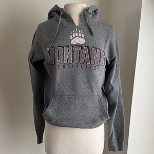 Hanes Gray Montana Grizzlies Hoodie